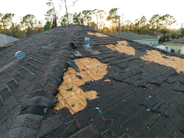 Best Roofing for New Construction  in Schler Park, IL