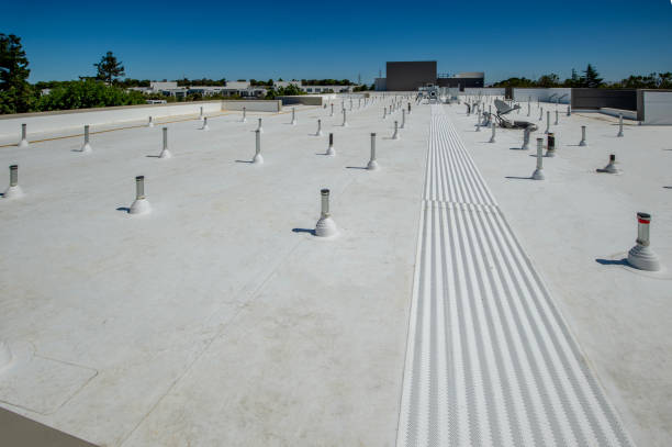 Best Storm Damage Roof Repair  in Schler Park, IL